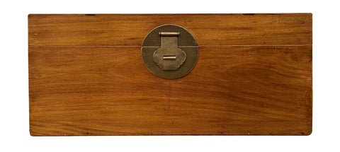 ANT10 - Antique Camphor Wood Chest, Chinese